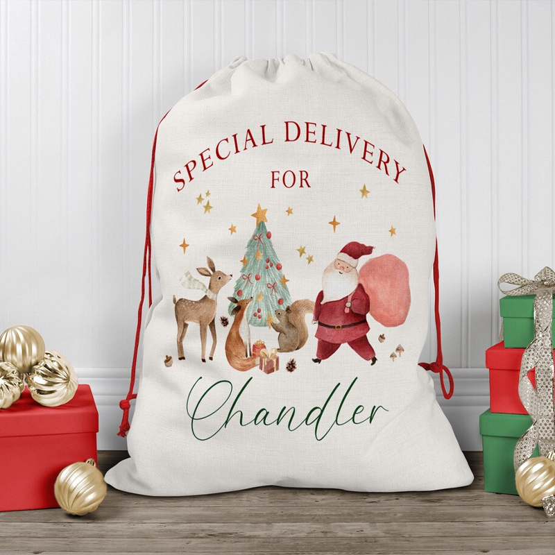 Kids Toys Names - Tas Hadiah Serut Natal Nama Yang